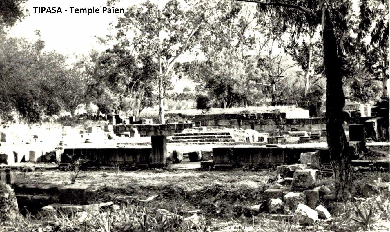 Tipasa - Ruines romaines 54.jpg